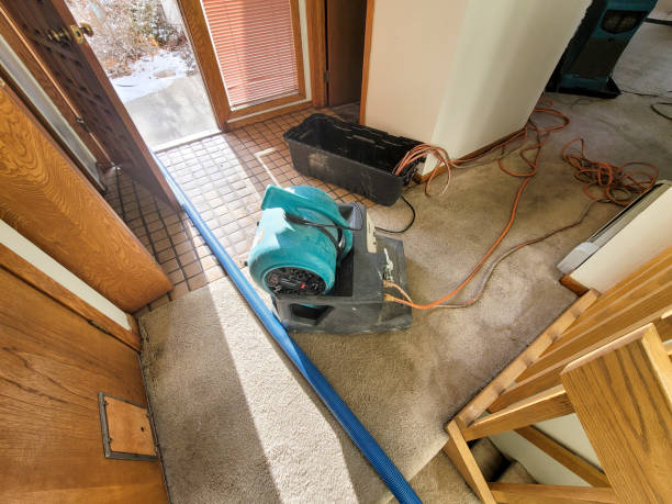 Best Commercial water damage restoration  in Camas, WA