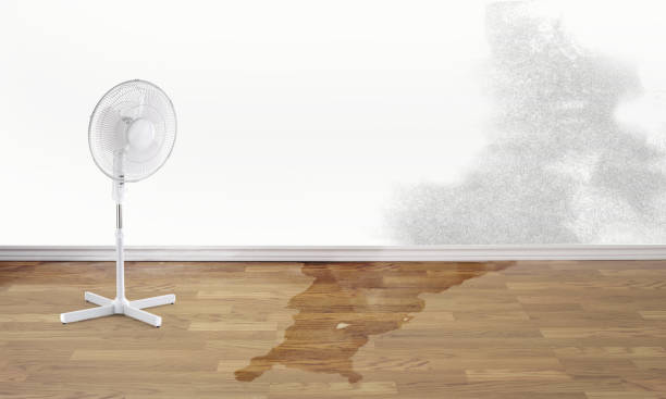 Fire Damage Restoration in WA
