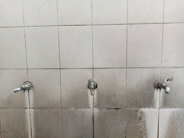 Best Water damage contractors near me  in Camas, WA