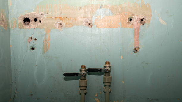Best Local water damage restoration  in Camas, WA